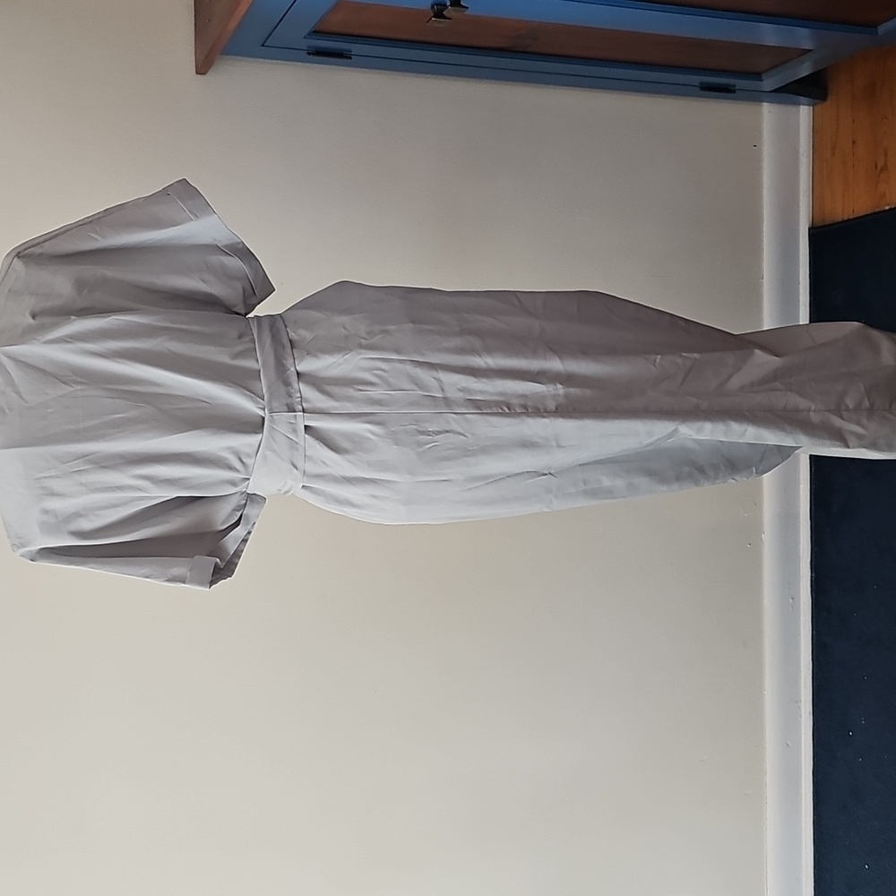 Elegant Gray Button-Down Ruched Dress - Picture 3 of 6